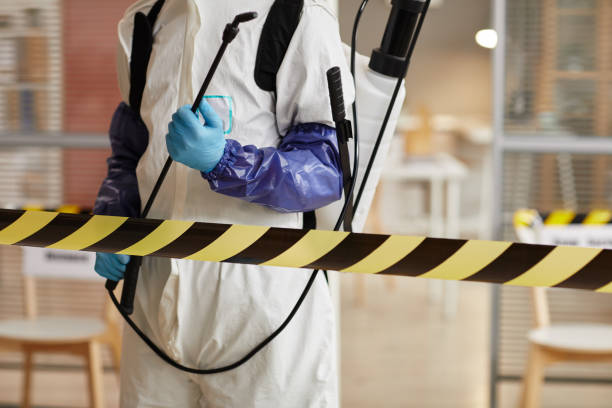 Professional Sewage Cleanup technician working in Richmond, MN